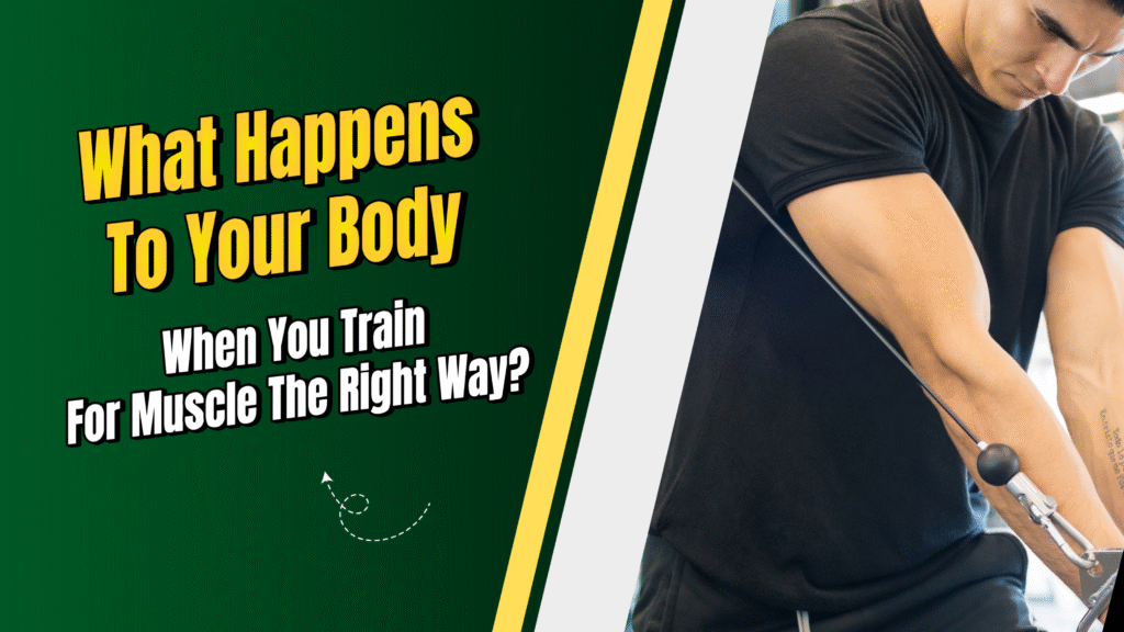 What Happens To Your Body When You Train For Muscle The Right Way?
